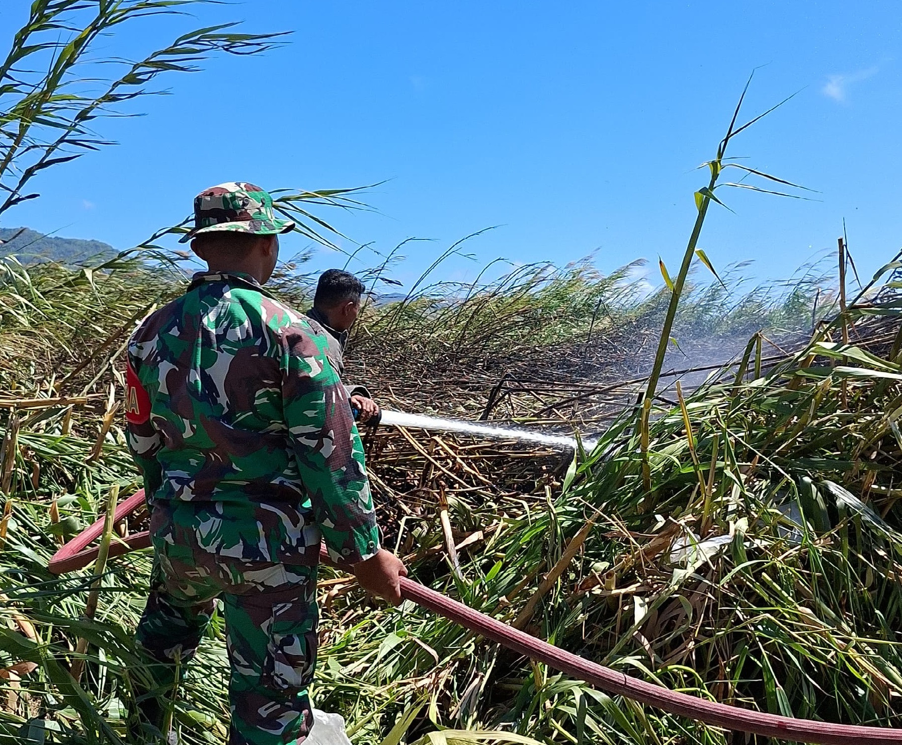 Respons Cepat Babinsa Koramil 1315-01/Telaga Atasi Kebakaran Lahan Semak Ilalang Dekat Permukiman Warga Desa Tabumela Kecamatan Tilango 9ae669d1-b6822222222222222222222222222-44af-a9e3-e36352b1df04.jpg